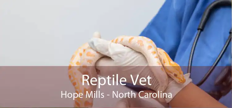 Reptile Vet Hope Mills - North Carolina