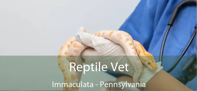 Reptile Vet Immaculata - Pennsylvania