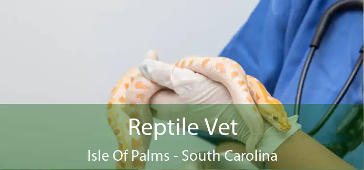 Reptile Vet Isle Of Palms - South Carolina