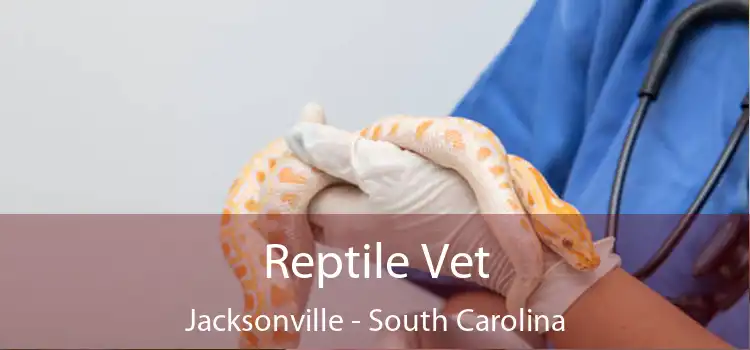 Reptile Vet Jacksonville - South Carolina