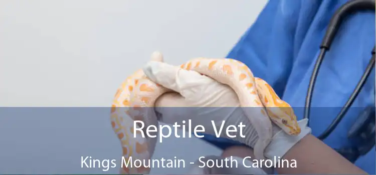 Reptile Vet Kings Mountain - South Carolina