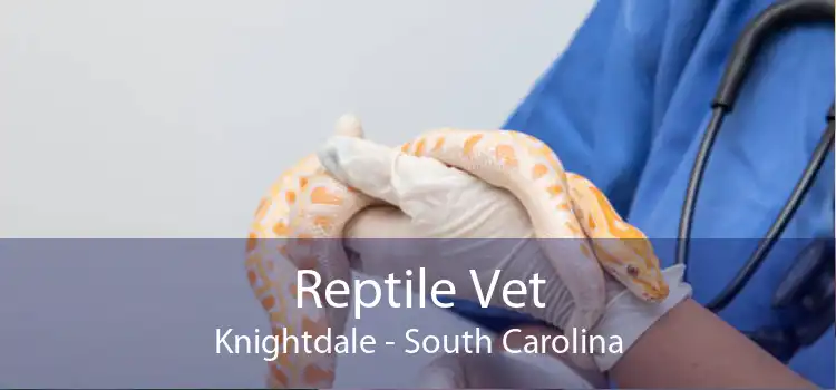 Reptile Vet Knightdale - South Carolina