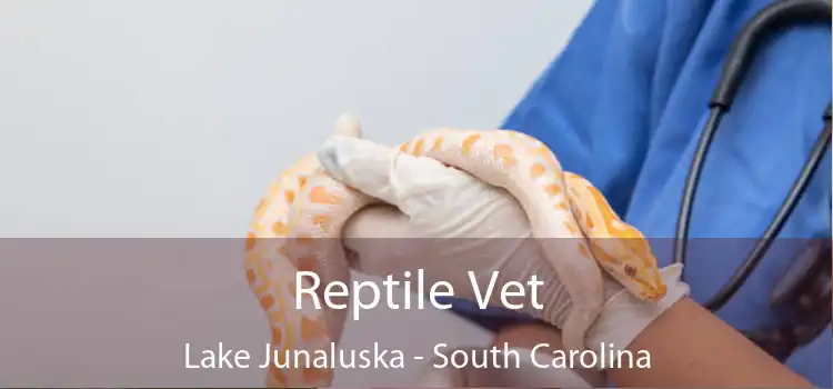 Reptile Vet Lake Junaluska - South Carolina