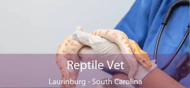 Reptile Vet Laurinburg - South Carolina