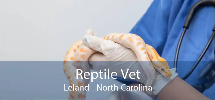Reptile Vet Leland - North Carolina