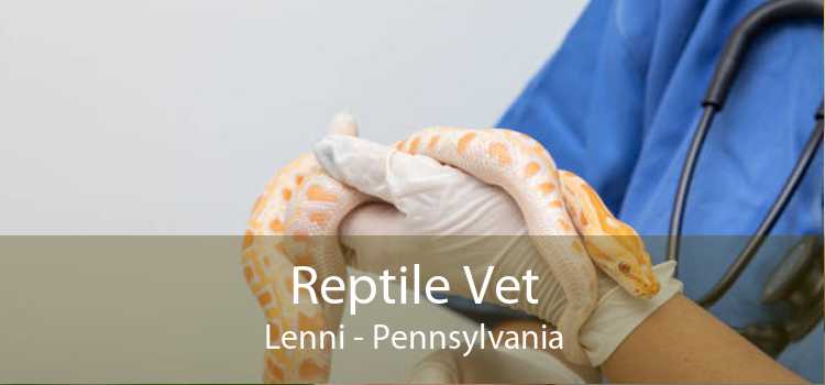 Reptile Vet Lenni - Pennsylvania