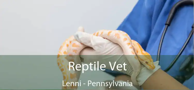 Reptile Vet Lenni - Pennsylvania