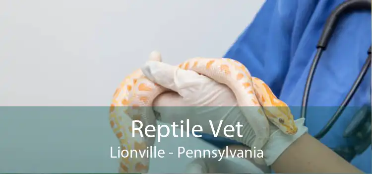 Reptile Vet Lionville - Pennsylvania