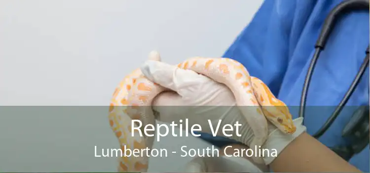 Reptile Vet Lumberton - South Carolina