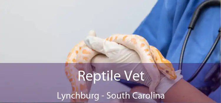 Reptile Vet Lynchburg - South Carolina