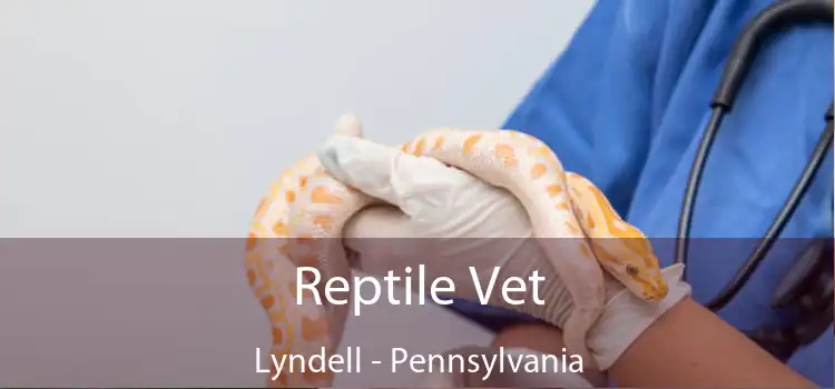Reptile Vet Lyndell - Pennsylvania