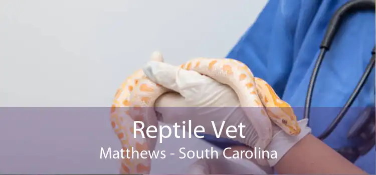 Reptile Vet Matthews - South Carolina