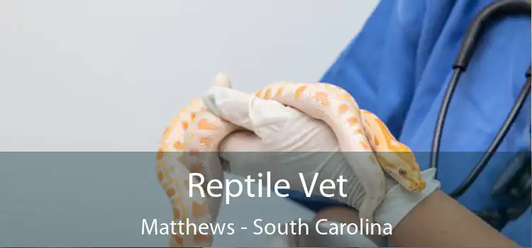 Reptile Vet Matthews - South Carolina