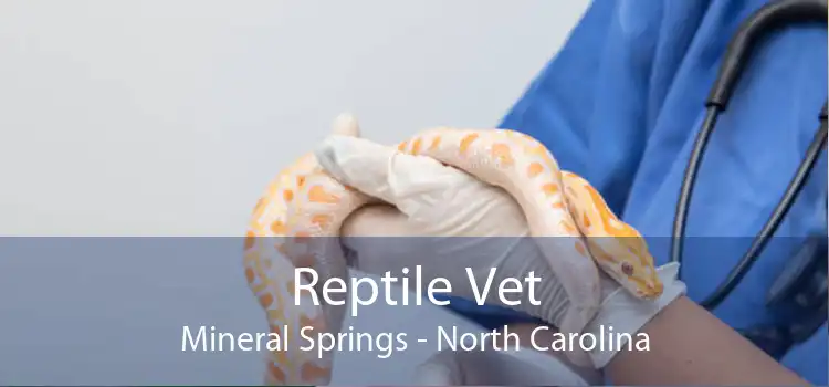 Reptile Vet Mineral Springs - North Carolina