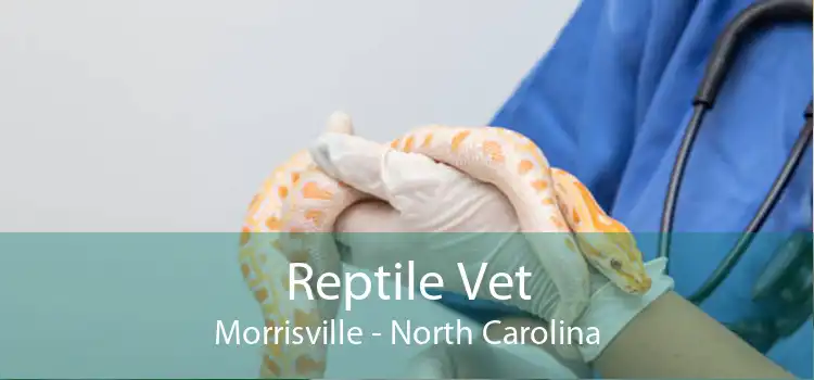 Reptile Vet Morrisville - North Carolina