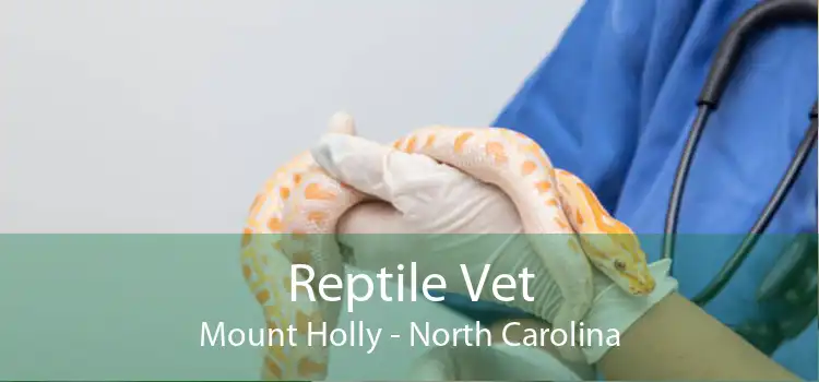 Reptile Vet Mount Holly - North Carolina