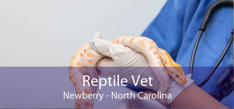 Reptile Vet Newberry - North Carolina