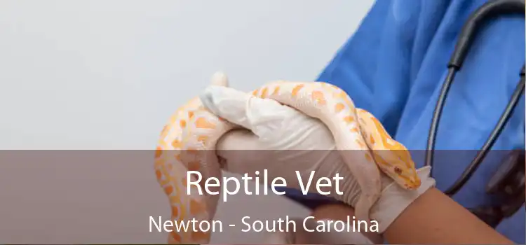 Reptile Vet Newton - South Carolina