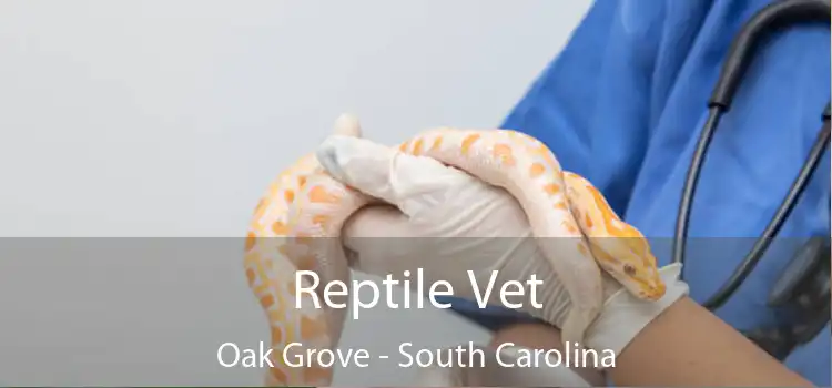 Reptile Vet Oak Grove - South Carolina