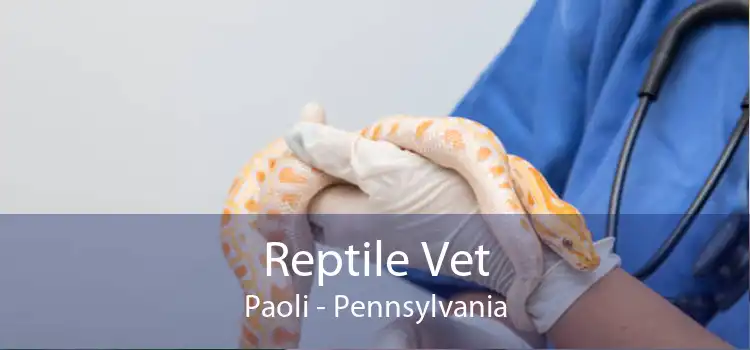 Reptile Vet Paoli - Pennsylvania