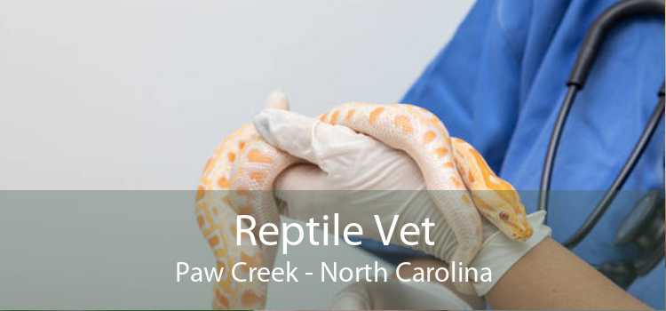 Reptile Vet Paw Creek - North Carolina
