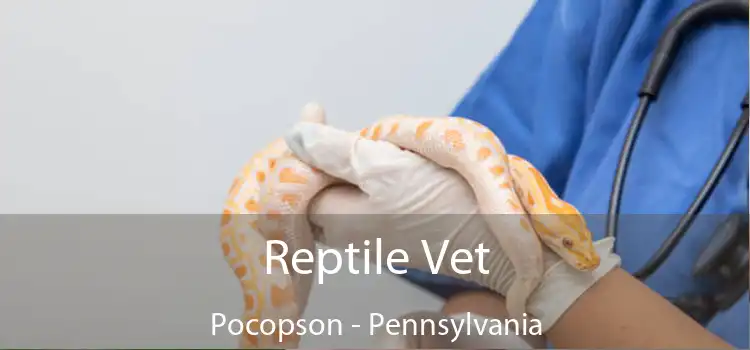 Reptile Vet Pocopson - Pennsylvania
