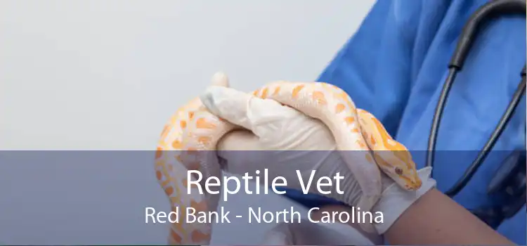 Reptile Vet Red Bank - North Carolina