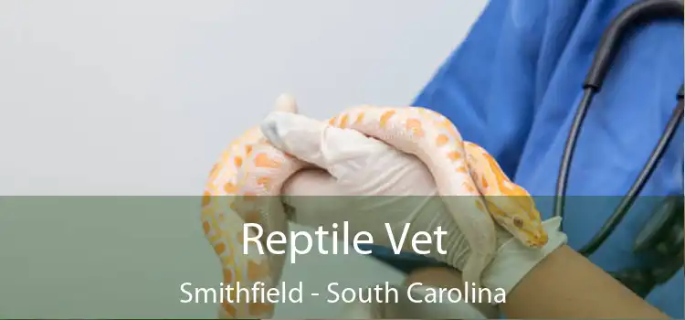 Reptile Vet Smithfield - South Carolina