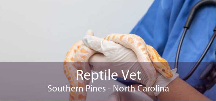 Reptile Vet Southern Pines - North Carolina