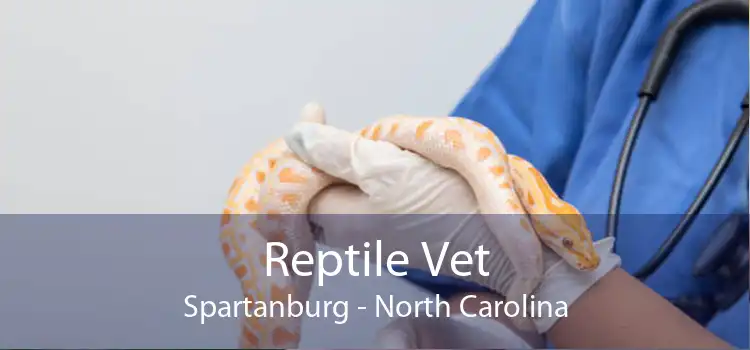 Reptile Vet Spartanburg - North Carolina