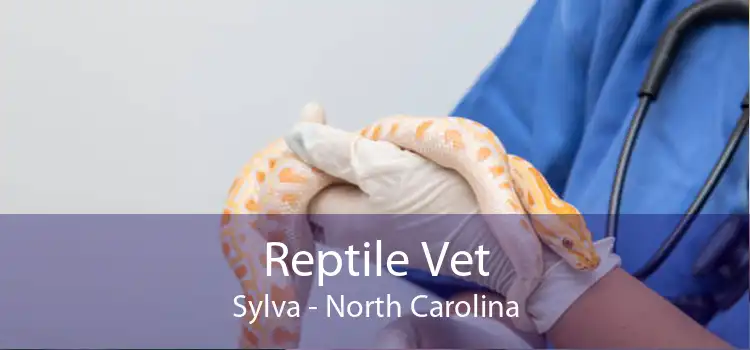 Reptile Vet Sylva - North Carolina