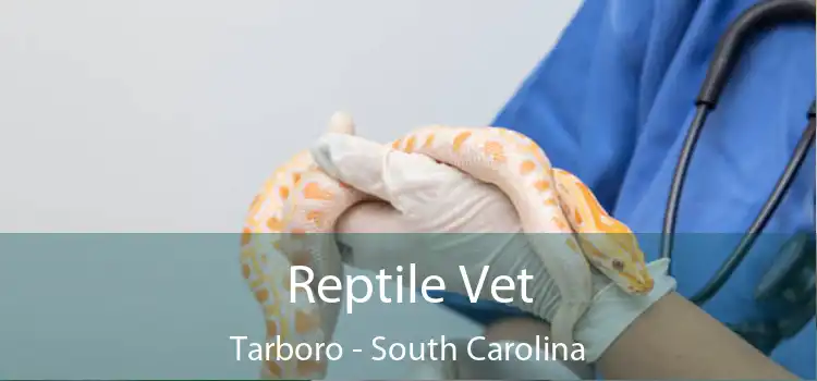 Reptile Vet Tarboro - South Carolina