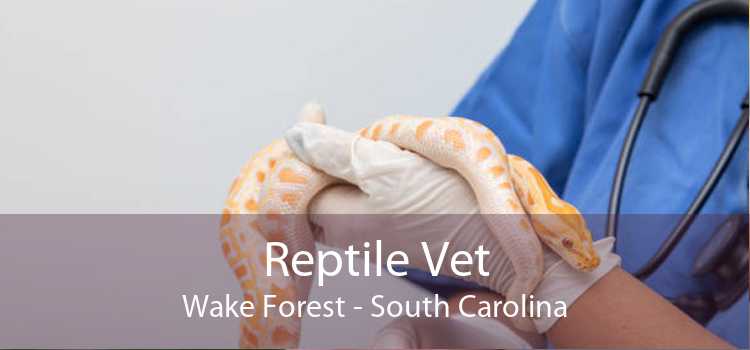 Reptile Vet Wake Forest - South Carolina