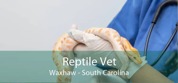 Reptile Vet Waxhaw - South Carolina