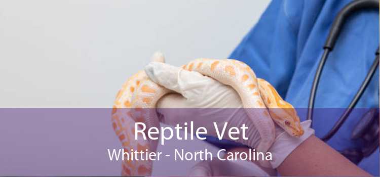 Reptile Vet Whittier - North Carolina