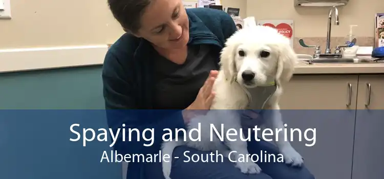 Spaying and Neutering Albemarle - South Carolina