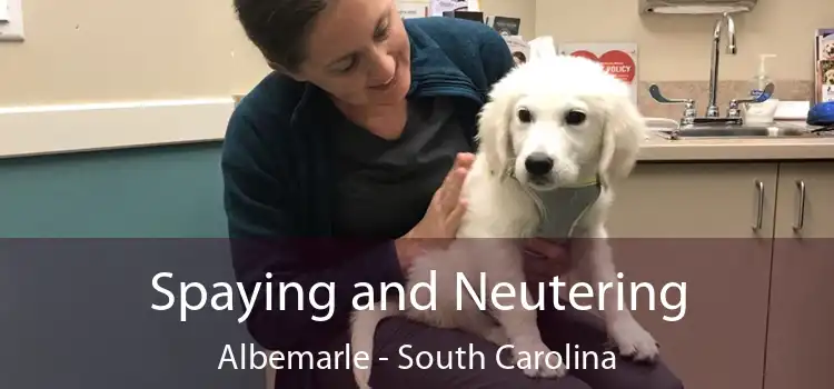 Spaying and Neutering Albemarle - South Carolina