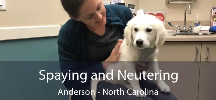 Spaying and Neutering Anderson - North Carolina