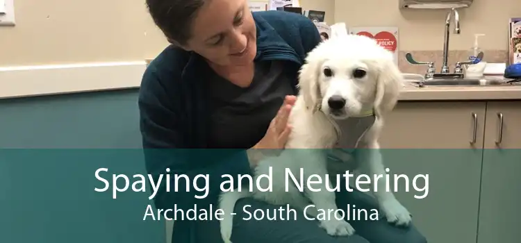 Spaying and Neutering Archdale - South Carolina
