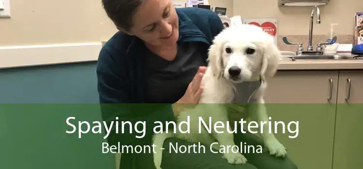 Spaying and Neutering Belmont - North Carolina