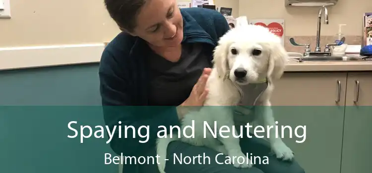 Spaying and Neutering Belmont - North Carolina