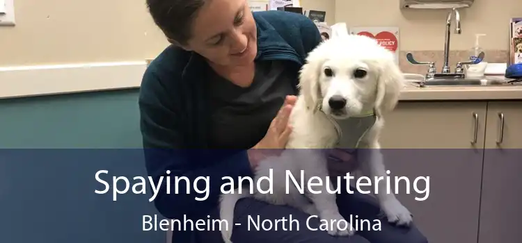 Spaying and Neutering Blenheim - North Carolina