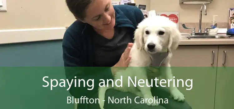 Spaying and Neutering Bluffton - North Carolina