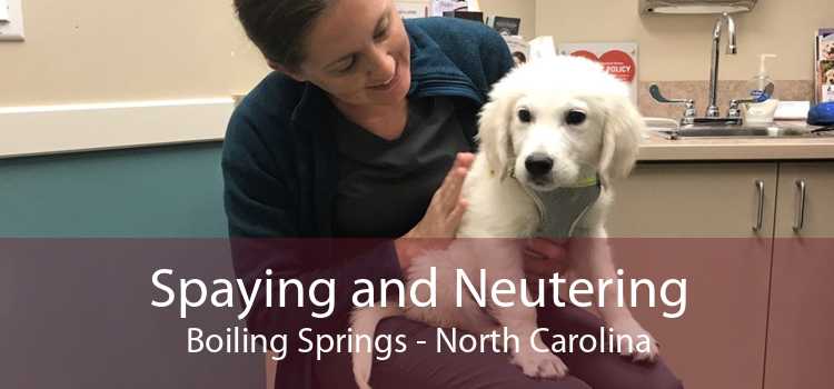 Spaying and Neutering Boiling Springs - North Carolina
