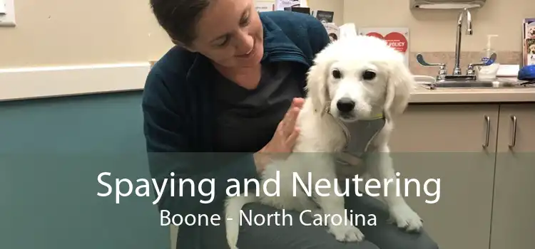 Spaying and Neutering Boone - North Carolina