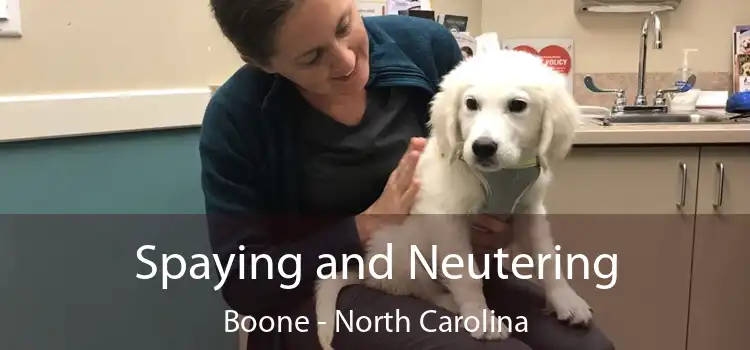 Spaying and Neutering Boone - North Carolina