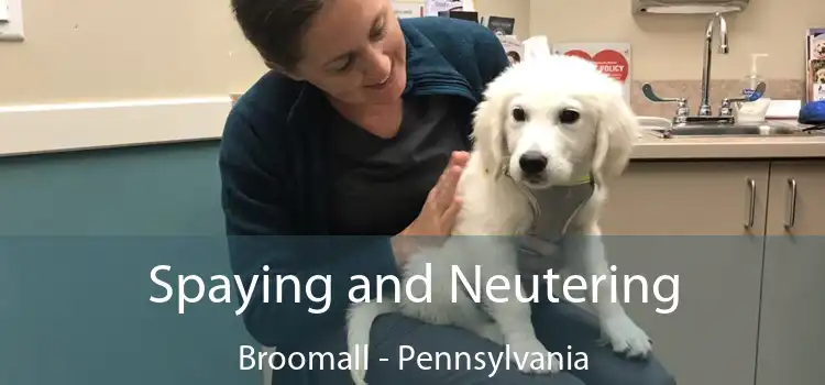 Spaying and Neutering Broomall - Pennsylvania