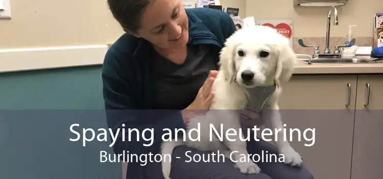 Spaying and Neutering Burlington - South Carolina