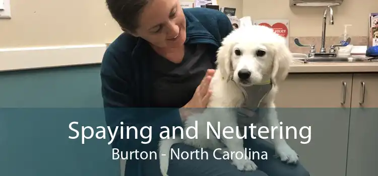Spaying and Neutering Burton - North Carolina