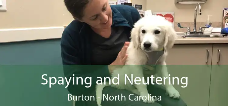 Spaying and Neutering Burton - North Carolina